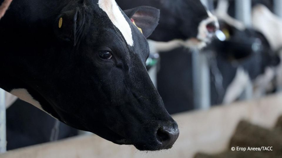 ����� 1 ���. �������� �������� ������������� �� �������� ����� ��������� � ������� �������� � ������� �������, ������� �������� ������� �� ���������������� �������� � ������������������ ������ ������