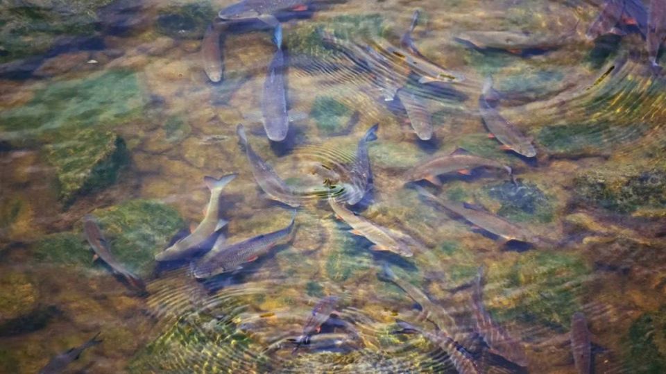 � �������� � 2027 ���� �������� ���������� ���