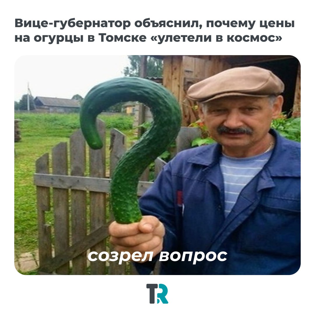 Огурцы «улетели в космос»: что происходит с ценами?