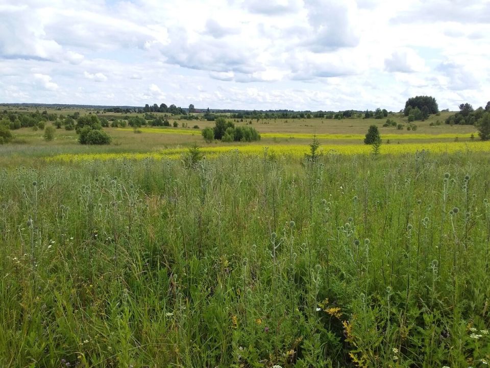 ��� ������� � ��������� ���������� ������� ��������� ��������