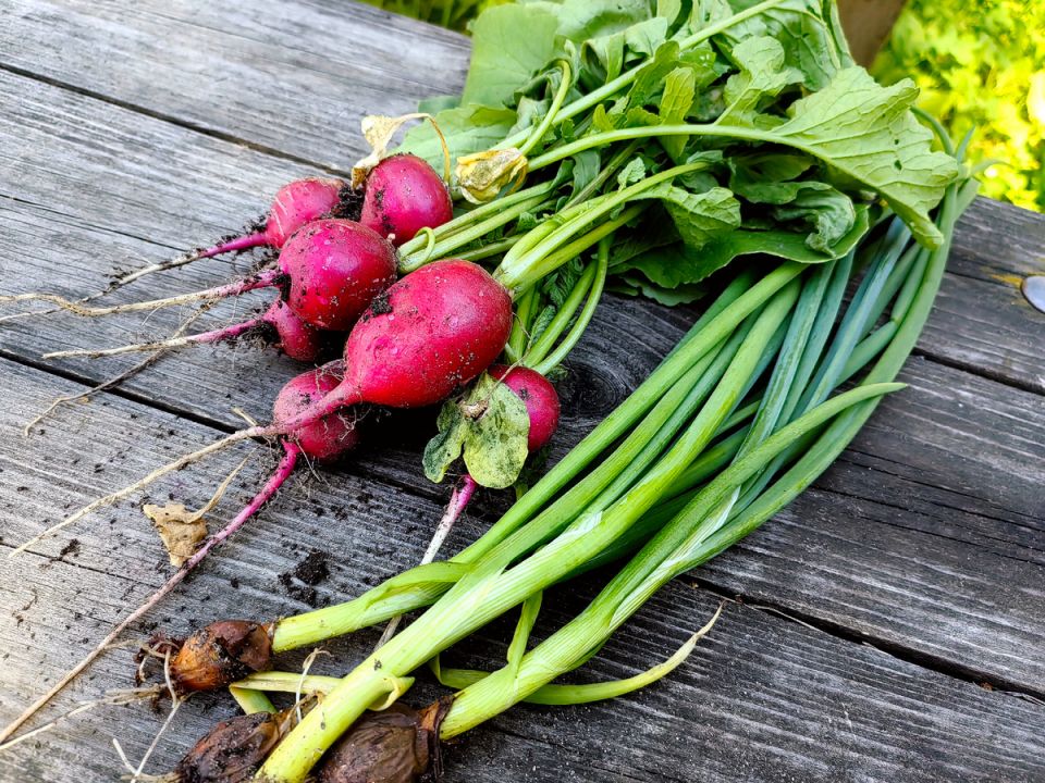 ��� �� ����� ������ � ���� � ����: ������ ��� ���������