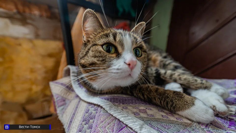 ������� ����������, �� ��� �������� � ������� ����� ��� �����