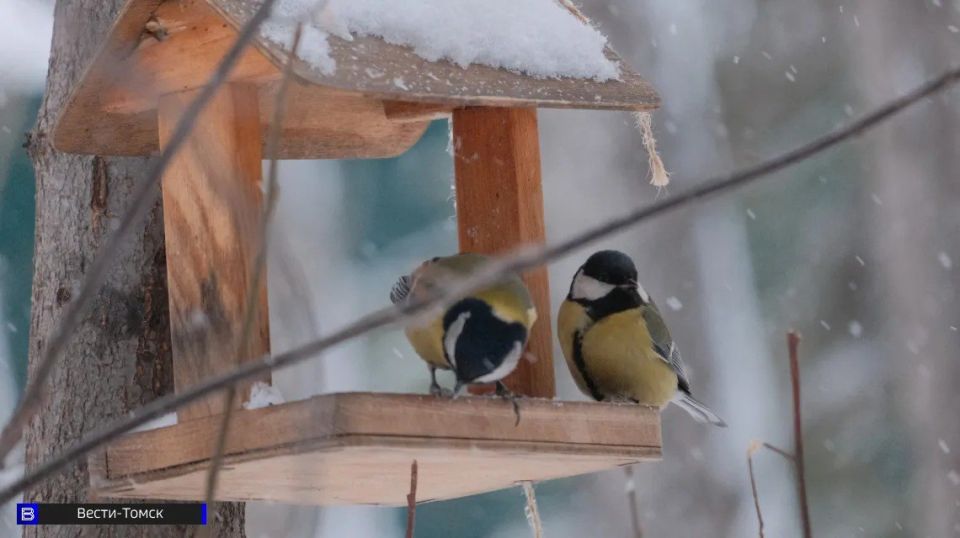 ��������� ������ ���������, ����� ����� �������� � ����� � �����