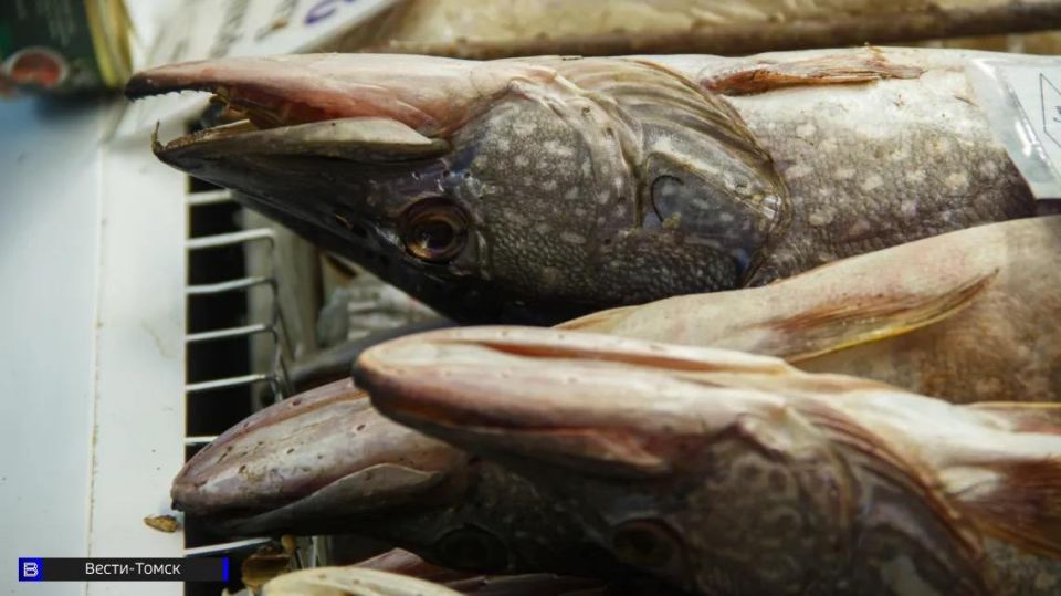 ������� ������� ����� �������� ��������� ����� �� ����� ���� � 2026 ����