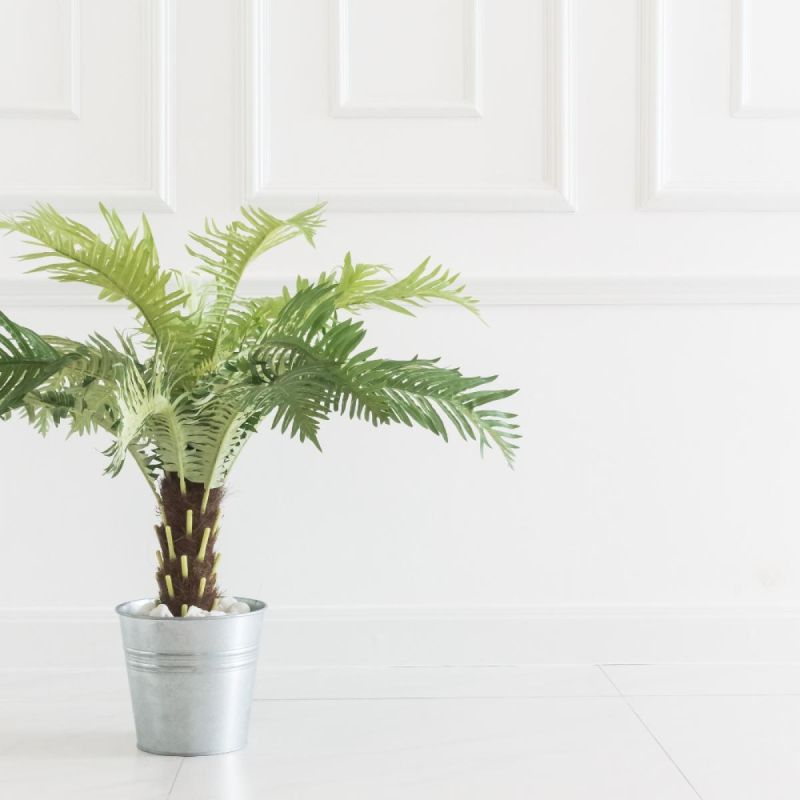 ��� ���������� ��������� ����������� ��������� �����