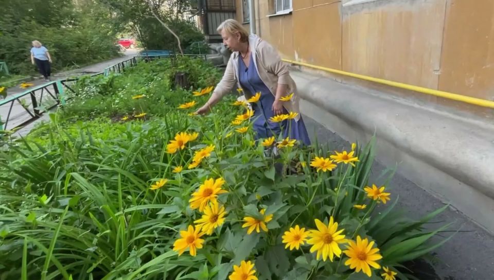 ��������� ������ �����: ��� �� ������� �� ����� �� ����� � ������