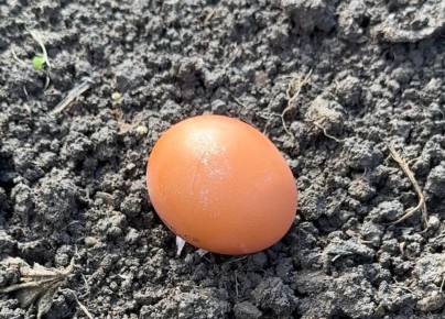 ������ ������: ��� ������ ��������� �������� ��������