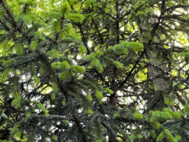 � ������� ������� ��������� ������������� ��������������� ����������� � ����������� ������������� ���������� ����� 200 �� ������ ������� �����