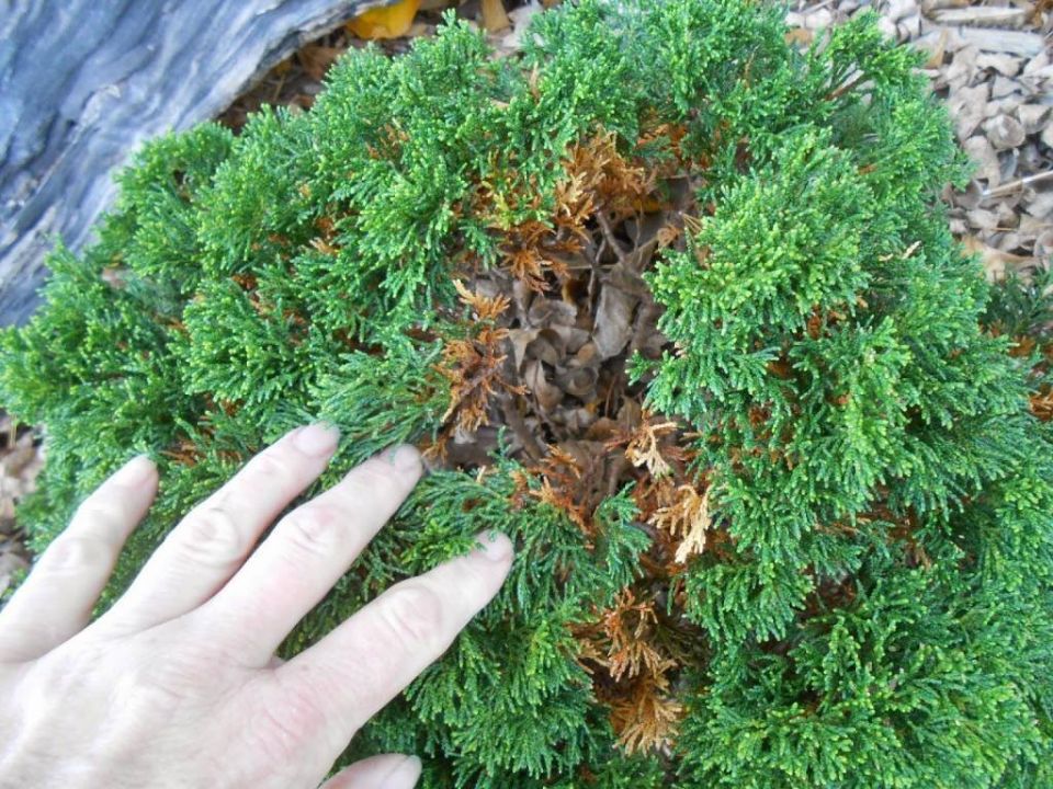 ��� ������ ��� �� ���������� � ��������: ������ �� �����