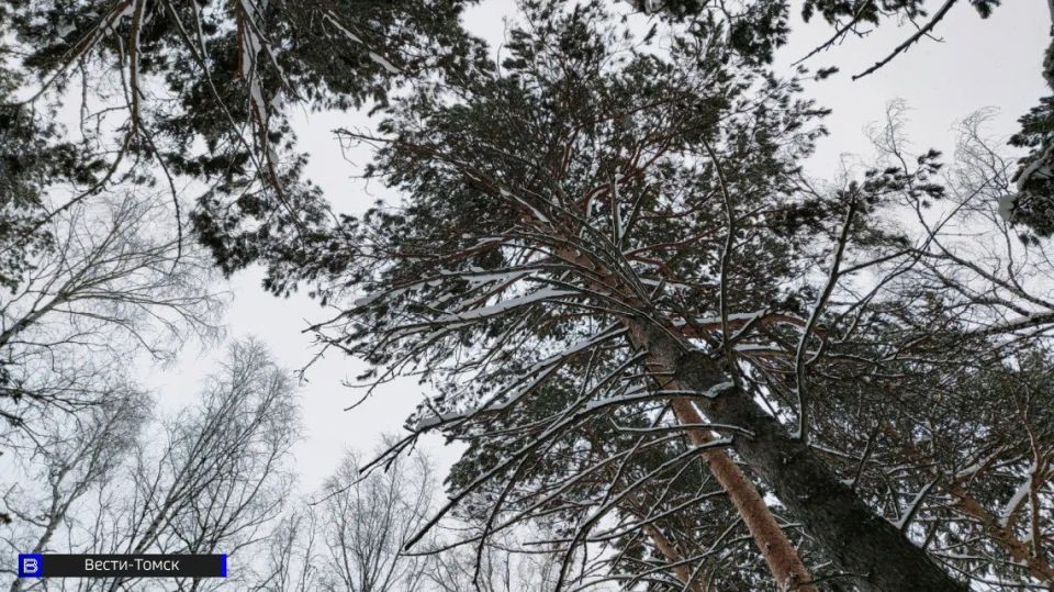 ������� ������ ����������� �� 200 ��������