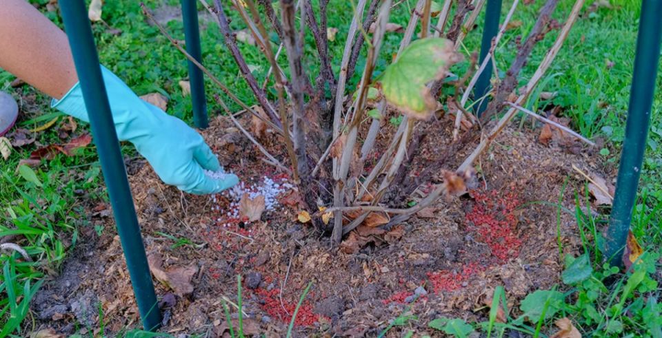 ������� �������� ����� �� ����������: ��� �������� ��������� ������