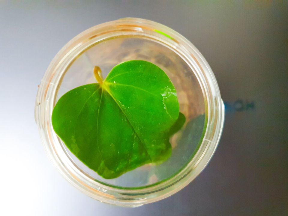 ��� ��� � ������� ������� ���� ����� ��������� ��������