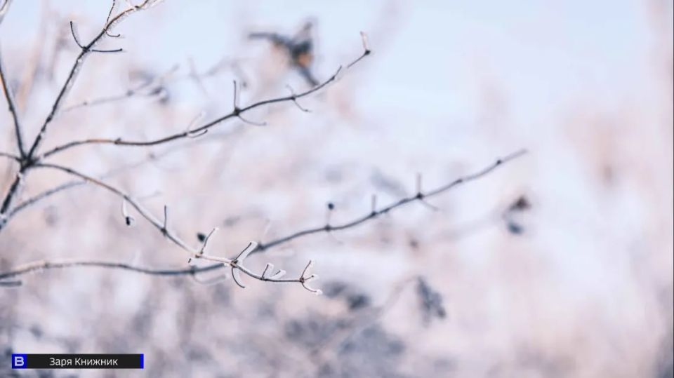 ������ �� ���������: � ������ ����� ��������� ��������� ��������������