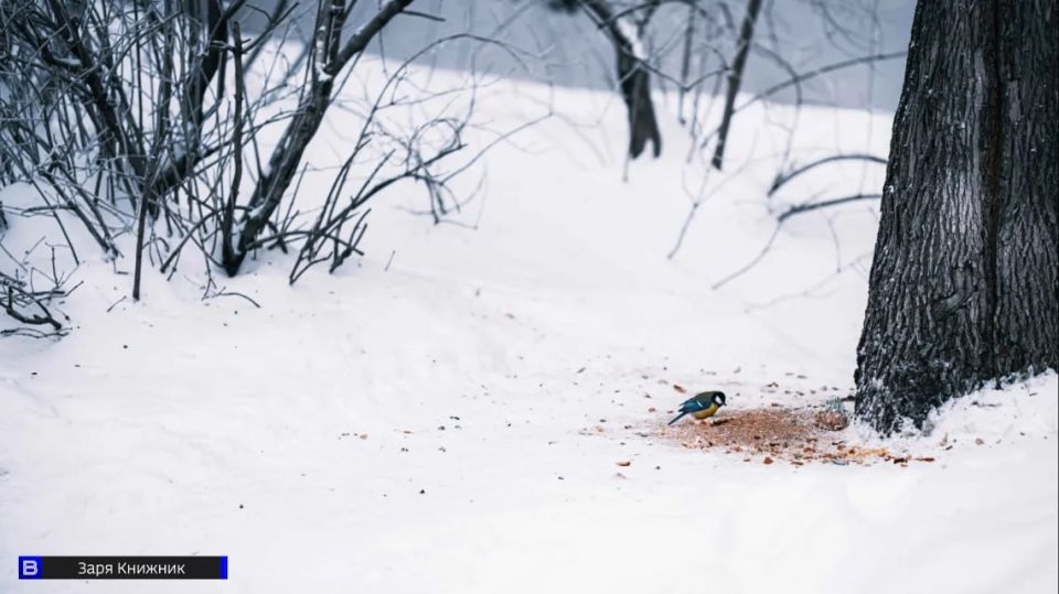 �� -3�� �� -35��: ����������� ������� ������ � ������ �� ������ ������ �����