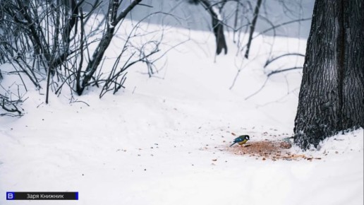 От -3°С до -35°С: опубликован прогноз погоды в Томске на первую неделю весны