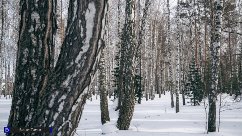 �������� �������� ������������� ���� ����� ���������� �����