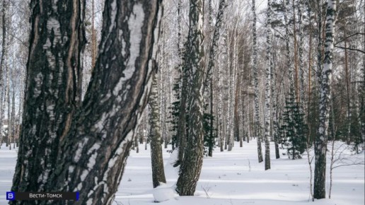 �������� �������� ������������� ���� ����� ���������� �����