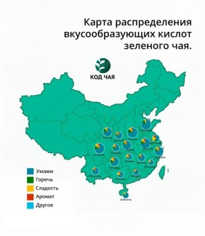 ����� ������ �� ���: ������ ������ � ���������� ������� ������� 2026 ����