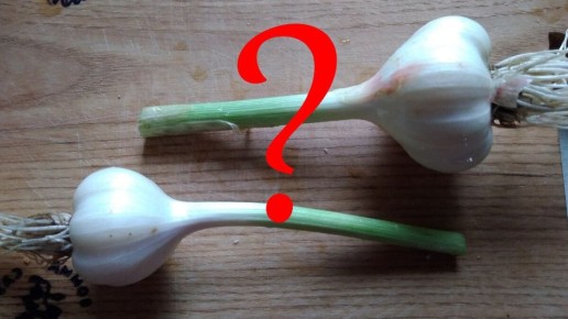 ��� ������ �������� ������: ������� �� ��������