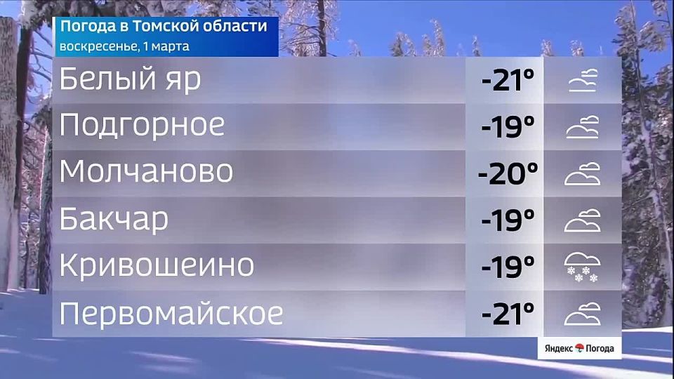 ������ ����! ������� ������ � ������� �������