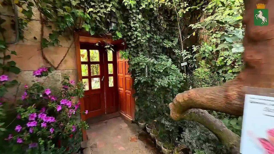 �� ����� ��� ����� � ����, � �� ��������� - ��� �����