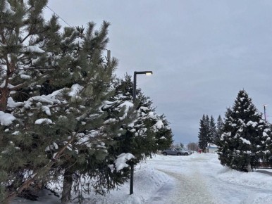 ��� �������� ��������� ���� ��������� � �������� �����