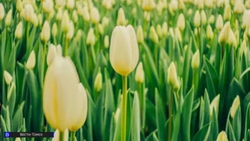 �� �����, �� ������: ������� ������ 150 ����� ������ ���������� �� ��������