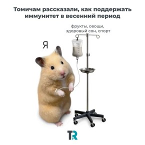 Начало весны — время поддерживать иммунитет