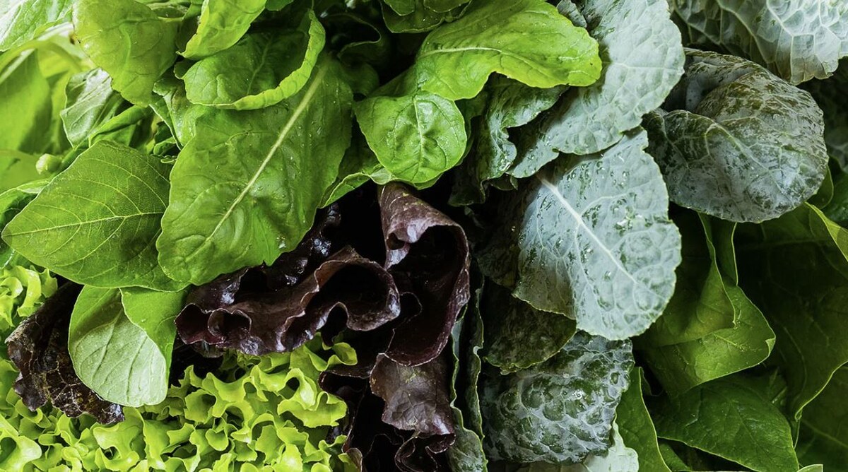 Овощи с полезными листьями: что стоит включить в рацион