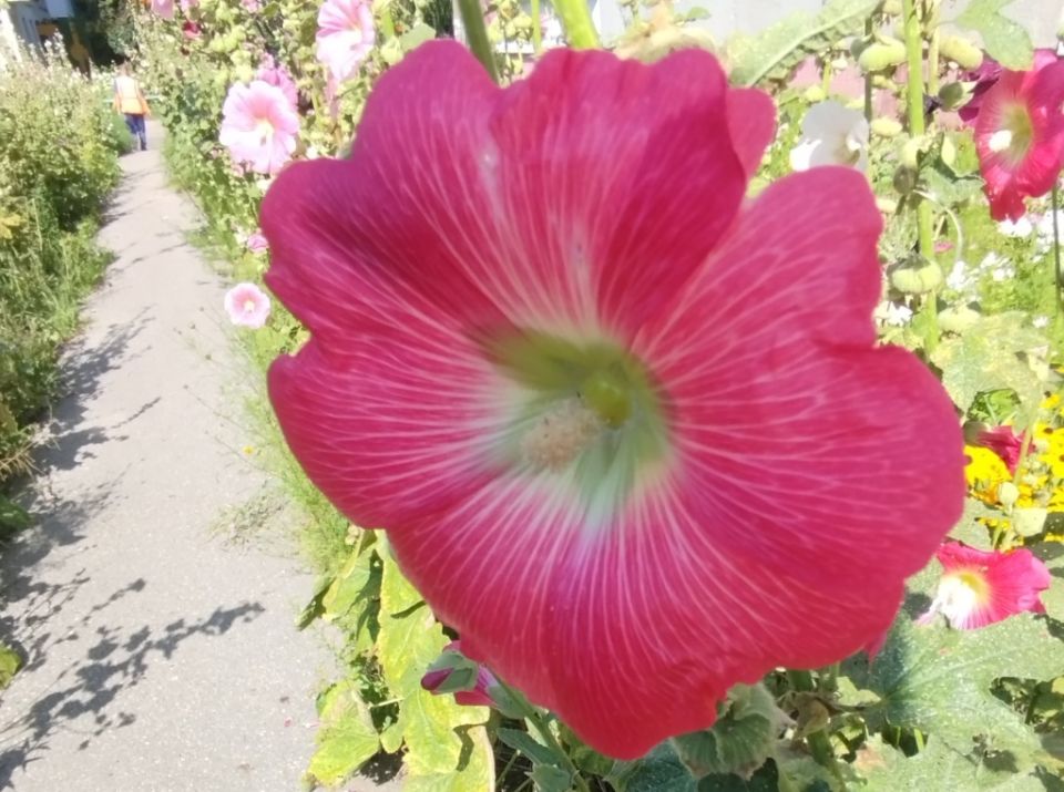 ������: ��� ������� ���� � ��������� �� ���� ���������� �������