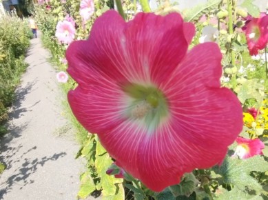 ������: ��� ������� ���� � ��������� �� ���� ���������� �������