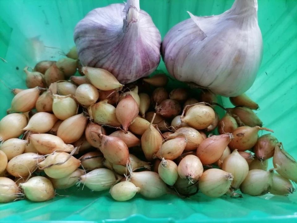 ����� �������� ������ ��� ������� ������� � ����: �������� ������������