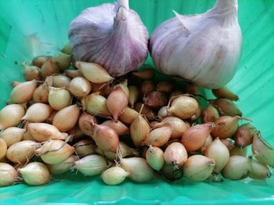 ����� �������� ������ ��� ������� ������� � ����: �������� ������������