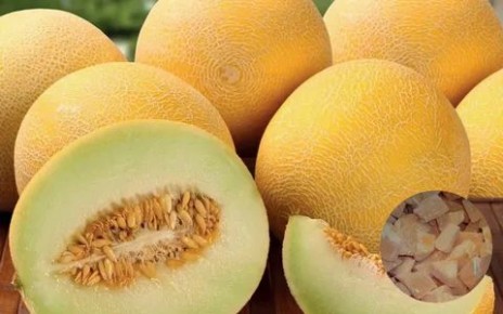 ������� ����: ������� ����������� � ������������� ��������� ��� ������ ����