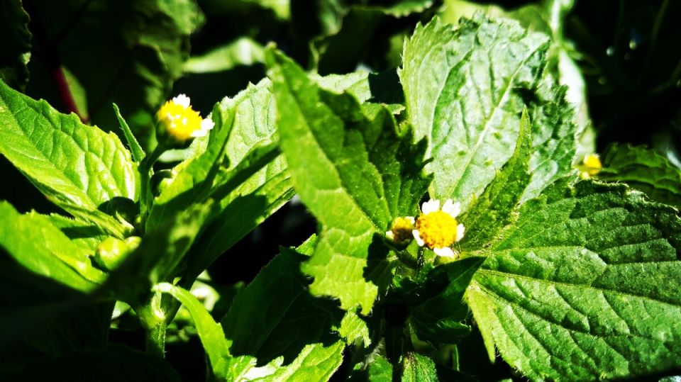 ��� ���������� �� ���������