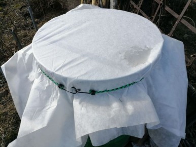 ������� �������� ������� ������� � ����: ������ �������� ��������