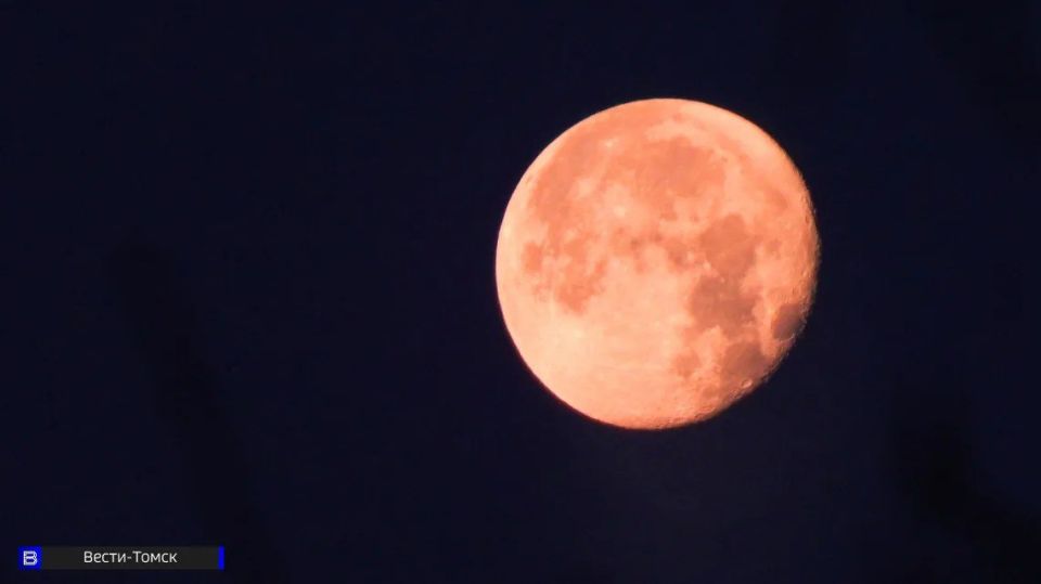 �������� �������� ���������, ������ ������ �� ������ "�������� ����"