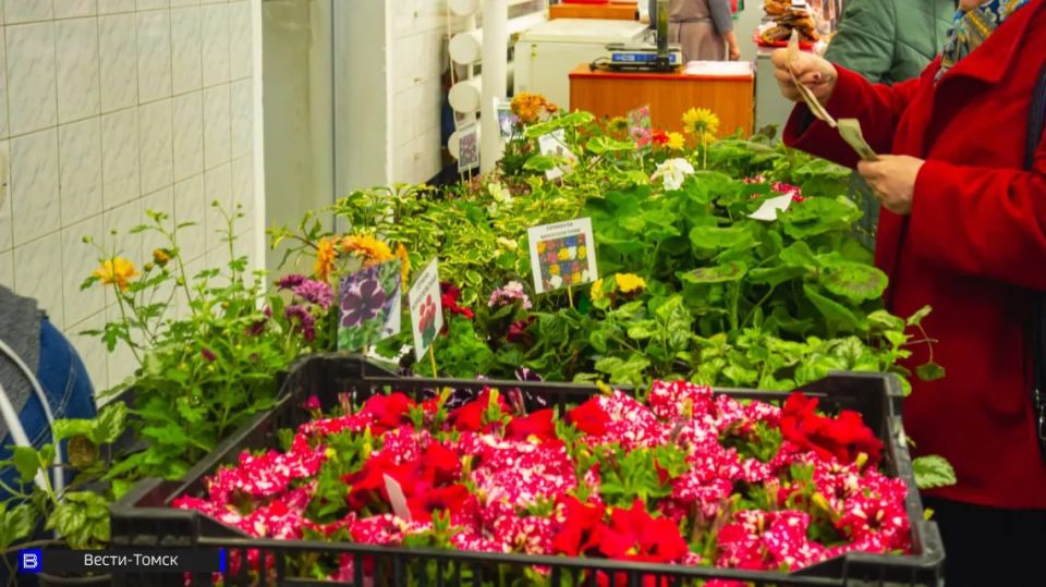 ����������� ������ ��������� �������� �� ���� 2026 ����