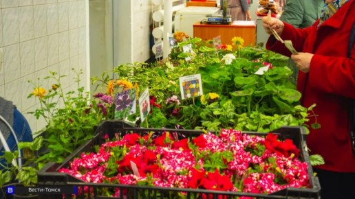 ����������� ������ ��������� �������� �� ���� 2026 ����