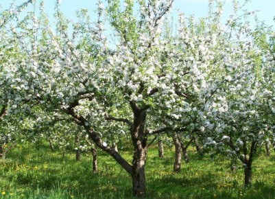 ��������� �������� ����� �������� � ����