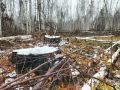 Асиновская городская прокуратура Томской области направила в суд уголовное дело о незаконной рубке лесных насаждений на общую сумму свыше 1,1 млн рублей