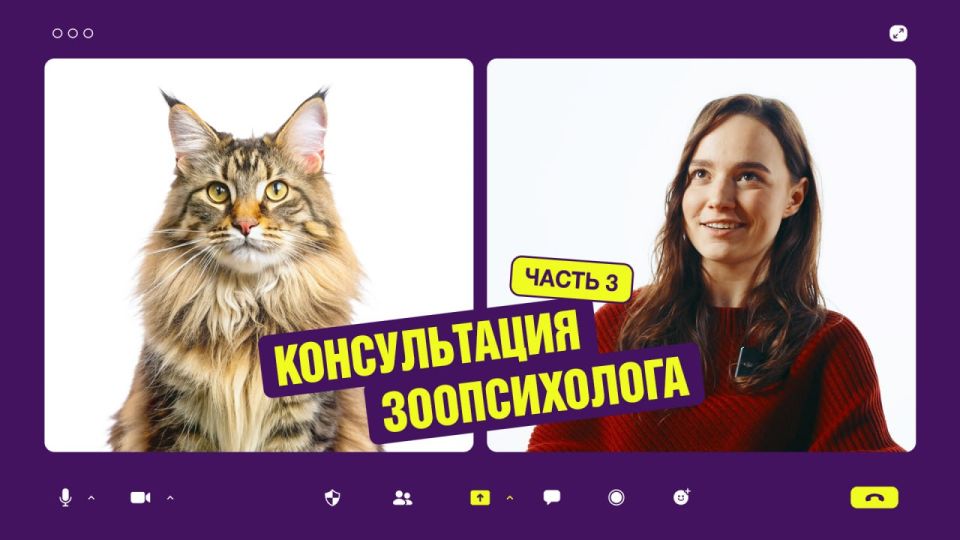 ����� �� ���������� ��������?