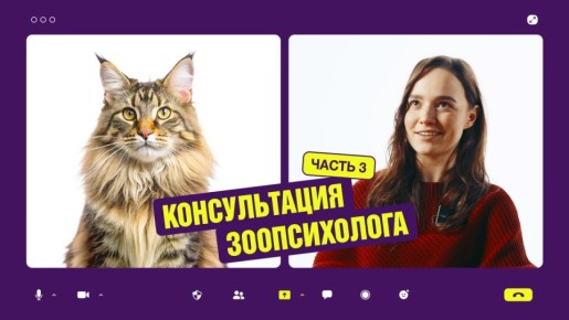 ����� �� ���������� ��������?