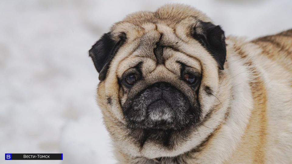 ������� ����������, ��� ��������� �������� ������ � ��������