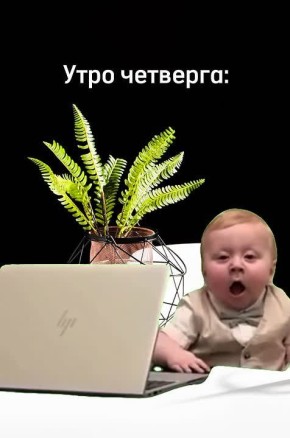 ���������, ������� ������� �������