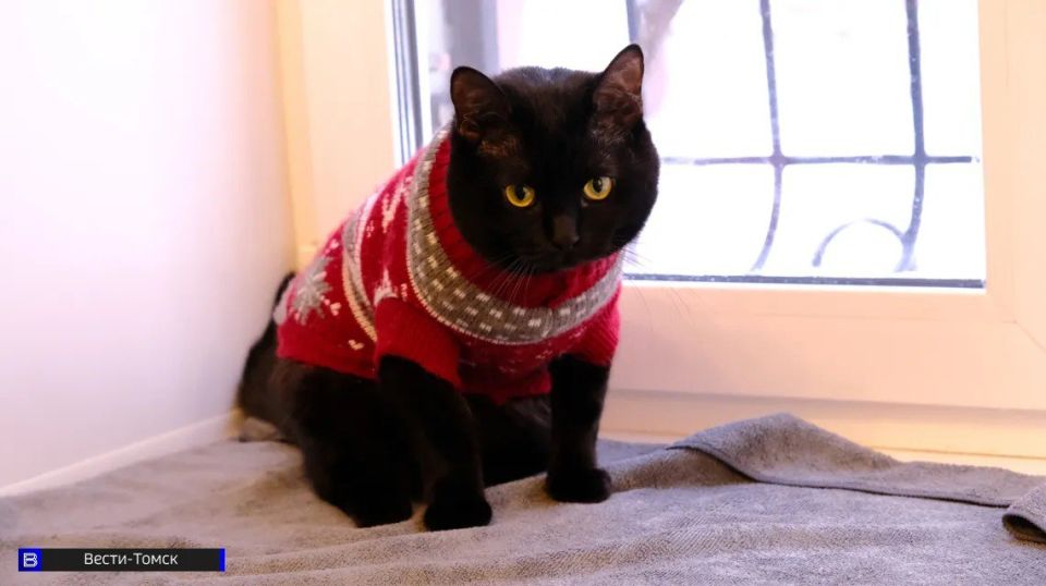 ������� ������ ������ � ���������: �������, ������ � �����������