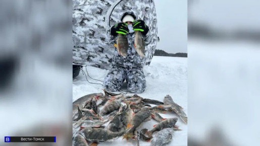 �� ������ ������� �����: ������� ���������� � �������� ������� �������