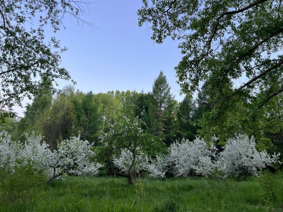 ����������� �������� � ���� ������������� ��������� ����������� ����������� ���������� ������� ������� ����� � ������� ��������� �������� ������