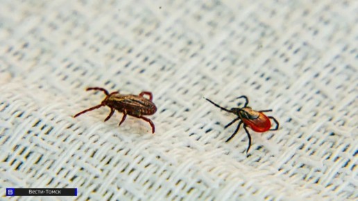 �������� ������� ����� ����� ������� ������