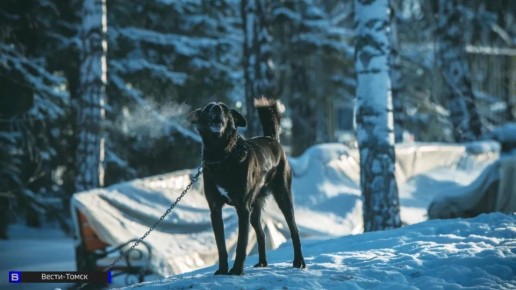 ��� ������, ���� ������ ����������� ������: �������, ������ � �������